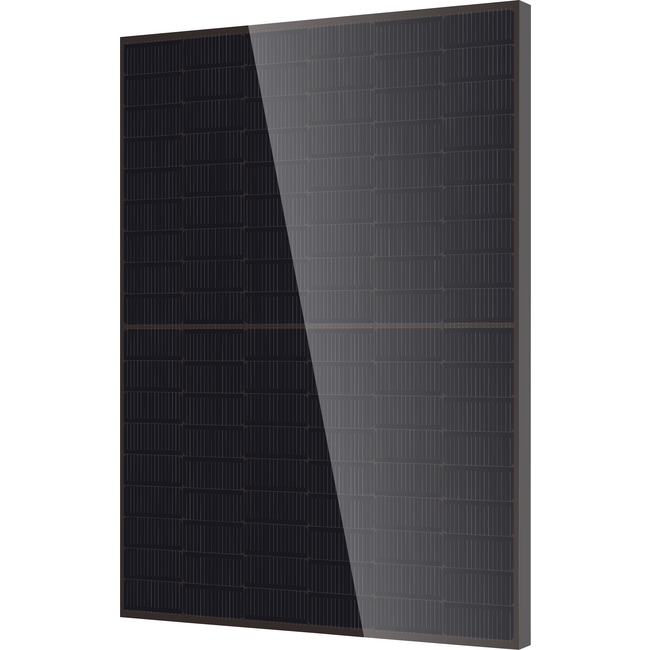 DMEGC 455Wp | Glas-Glas | All Black 36 STK - Bild 1